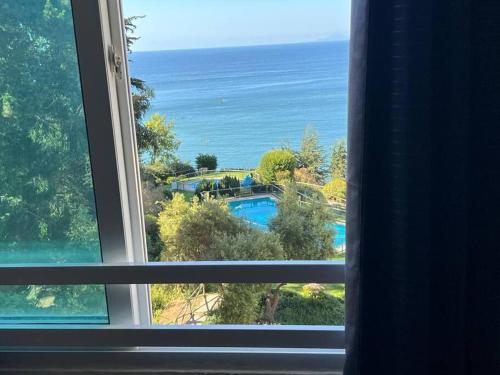 a view of a swimming pool from a window at Condominio Bahia Pelicanos - Horcon in Puchuncaví