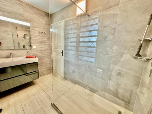 W łazience znajduje się prysznic i umywalka. w obiekcie La Barque 1 w mieście Courcelles Sucrerie
