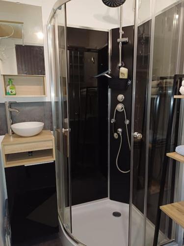 une douche avec une porte vitrée dans une salle de bain dans l'établissement Appart PRA LOUP près des pistes, à Uvernet