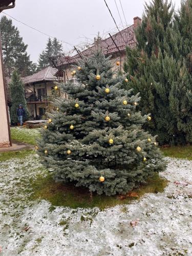 a christmas tree in a yard with snow on the ground at Pension Andra's House in Horezu
