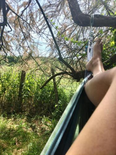 a person sitting in a hammock looking out the window at Gîte 4 pers proche cure thermale, Futuroscope, calme et nature à La Roche Posay in La Roche-Posay