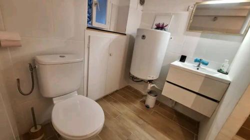 une petite salle de bain avec toilettes et lavabo dans l'établissement Charmant appartement de village rénové, à Gorbio