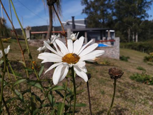 Alborada Raco – Photos 2