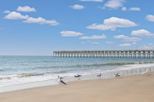 a group of birds walking on the beach near a pier at Somewhere on a Beach in Oak Island