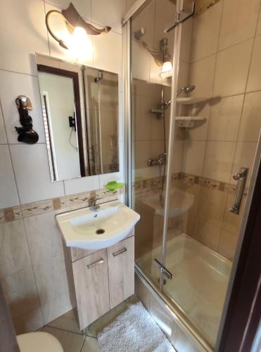 uma casa de banho com um lavatório e um chuveiro em Widok apartamenty,domki,pokoje 725 -258 -751 em Polańczyk