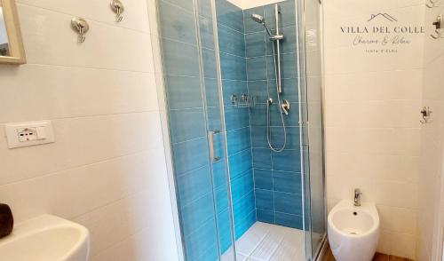 a bathroom with a shower with a toilet and a sink at Villa del Colle Charme e Relax in Procchio