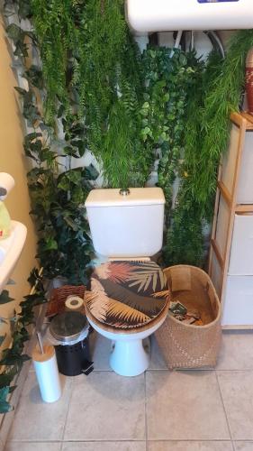 a bathroom with a toilet with plants on the wall at Studio Au Clair de Lune in Saint-Alban-de-Roche