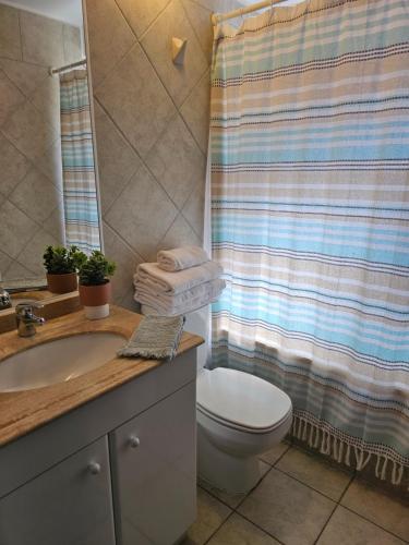コンコンにあるEspectacular Bahía Bonita depto 33のトイレとシャワーカーテン付きのバスルーム