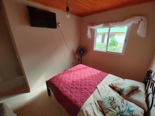 a bedroom with a bed with a pink comforter and a window at Departamentos Rimasha in Federación