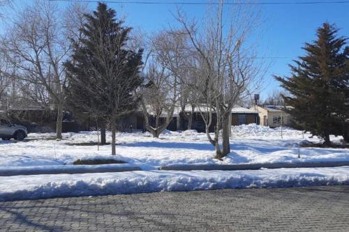 a group of trees and snow on a street at Hermosa Cabaña Duplex Malargüe. in Malargüe