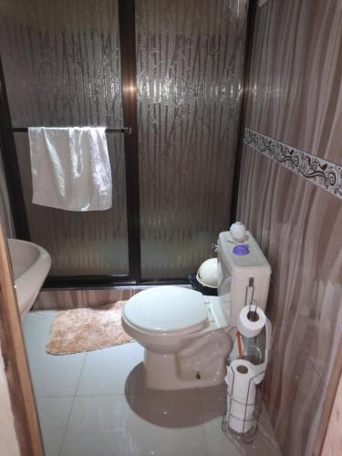 een badkamer met een toilet en een douche bij Casa Lapas. in Aguas Zarcas
