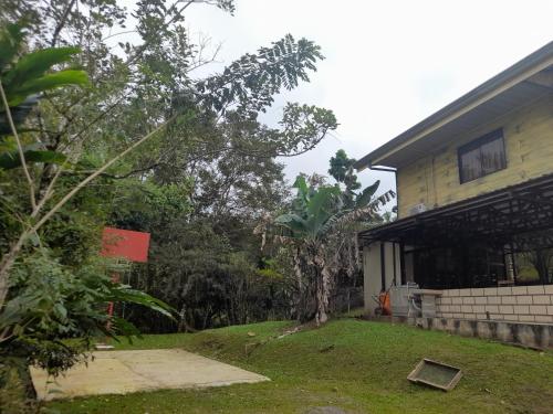 a house with a tree in front of it at Casa Lapas. in Aguas Zarcas