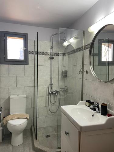 a bathroom with a shower and a toilet and a sink at Country Stone House ,next to Kalavrita in Kalavrita
