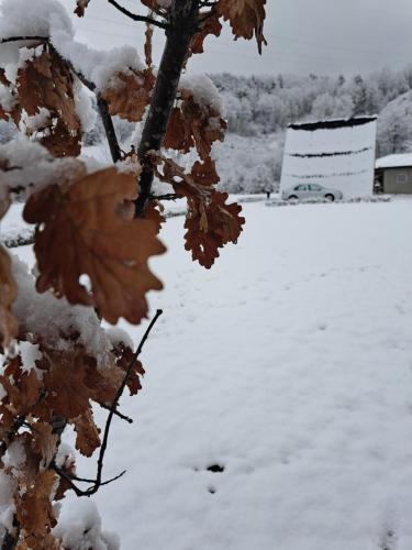 a tree branch covered in snow with a snow covered field at Holiday Home Ella - Apartman Ella in Mokra Gora