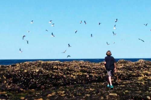 Foto dalla galleria di Mandalei, Refugio De Mar a Las Grutas