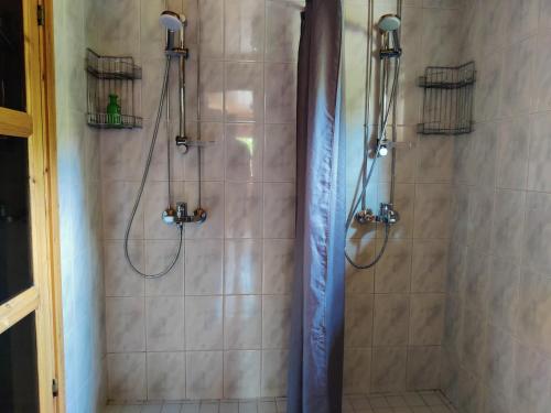 a shower with a blue shower curtain in a bathroom at Aapishovi Chalet in Tapio