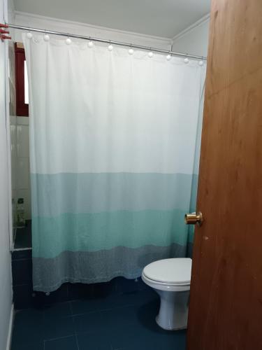 a bathroom with a toilet and a shower curtain at Cabañas Río Colorado in Curacautín