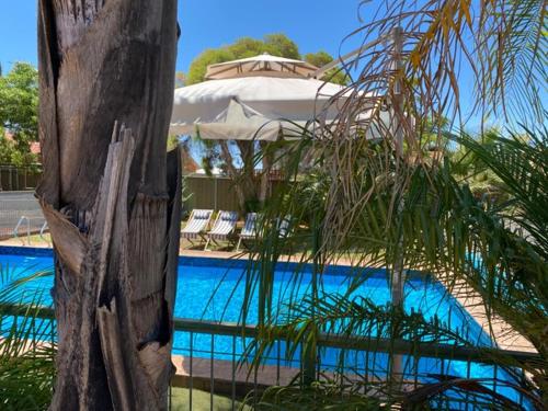 - une piscine avec un parasol et un palmier dans l'établissement Orana Motor Inn, à Mildura