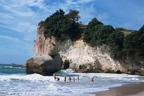 een groep mensen in het water op het strand bij Annabells B&B in Whitianga