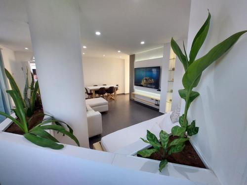 El Yaque的住宿－Yaque Suite，客厅配有两株盆栽植物和电视