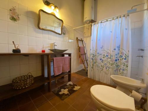 a bathroom with a toilet and a sink and a shower at El Cortijo Tinogasta in Tinogasta