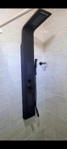 El baño incluye ducha con cabezal negro. en Apart Mi Kaú en Catriel