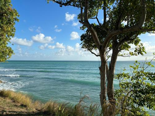 a tree sitting next to a body of water at Charmant studio vue mer SANS COUPURE D'EAU in Le Gosier