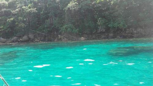 Em frente à praia · Praia privada Casa com Praia no quintal Menor preço em Em frente à praia · Praia privada Casa com Praia no quintal