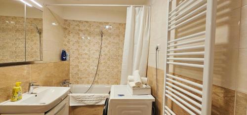 y baño pequeño con lavabo y ducha. en DN Apartment W&W en Budapest