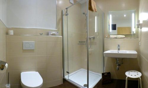 a bathroom with a shower and a toilet and a sink at Alpenhof Wohlfühlpension in Obsteig