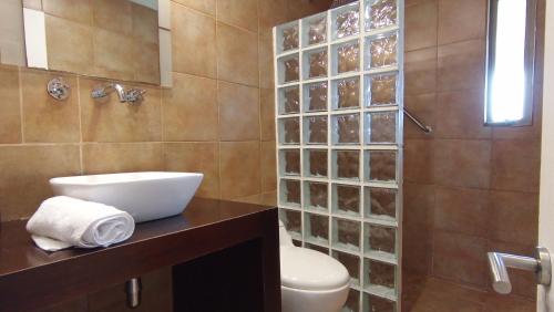 a bathroom with a toilet and a glass block shower at Hotel Casa Puccllana in Constitución
