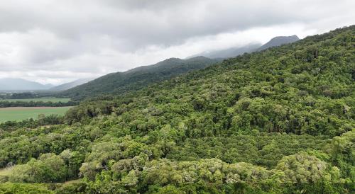 an aerial view of a mountain with trees at Ahana Resort in Fishery Falls