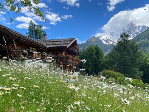 a house on a hill with a field of flowers at Edelweiss Yoga Chalet in Chamonix