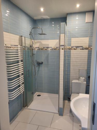 a bathroom with a shower and a toilet and a sink at BORNE militaria wygodne mieszkanei dla 5 osób in Borne Sulinowo