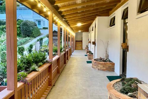 a porch with potted plants on the side of a building at The Swiss Chalet Holiday Apartment 6, Bay of Islands in Paihia
