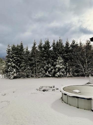 a snow covered field with trees in the background at Farm Country House with Pool and Huge Property in Blakeslee