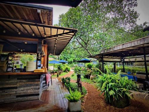 a restaurant with a patio with plants and umbrellas at The Willow Phangan in Koh Phangan