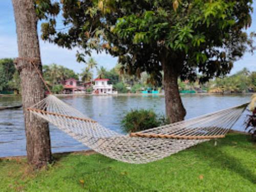 a hammock hanging between two trees next to a river at THE PAMBA HERITAGE VILLA Nedumudy in Champakulam