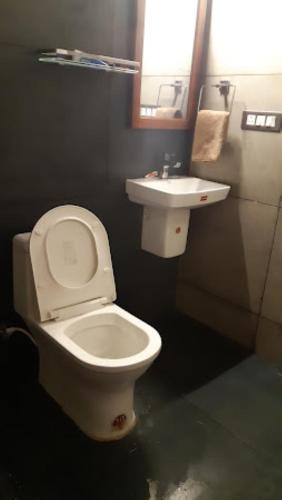 a bathroom with a toilet and a sink at THE PAMBA HERITAGE VILLA Nedumudy in Champakulam