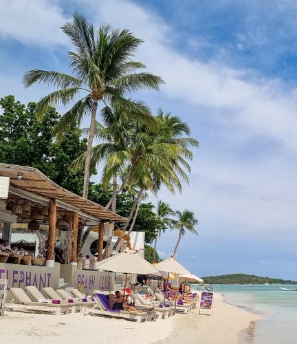 a beach with chairs and palm trees and the ocean at Elephant Beach Club & Resort Samui in Chaweng
