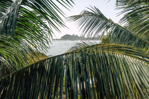 a view of the ocean through a palm tree at Pearl Divers Beachfront Apartment in Unawatuna