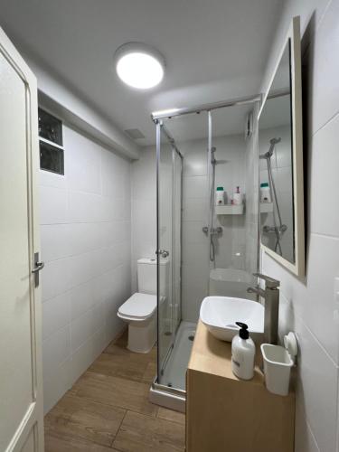 La salle de bains est pourvue d'une douche, d'un lavabo et de toilettes. dans l'établissement Apto. Rural Cielo. Al lado Torre, à Jérica
