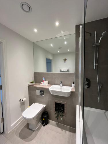 a bathroom with a toilet and a sink and a shower at One bedroom Apartment in Barking