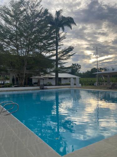 une piscine bleue avec un palmier en arrière-plan dans l'établissement The Eliana Farm Resort and Villas, à Manolo Fortich