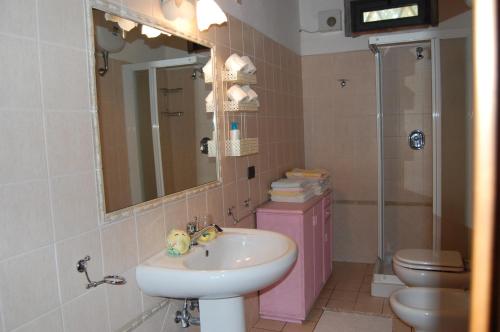 a bathroom with a sink and a toilet and a mirror at Fattoria Antognoni in Reggello