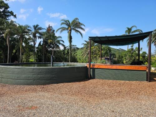 a swimming pool with a umbrella and palm trees at Pecan Farm Guesthouse in Louis Trichardt
