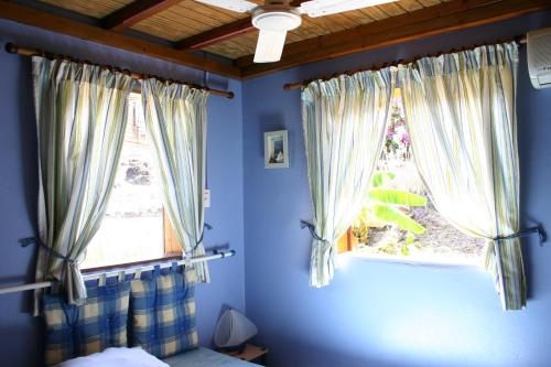 a bedroom with blue walls and two windows with curtains at Gîtes Alamanda in Bouillante