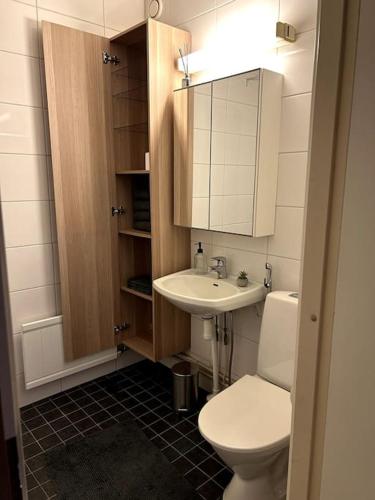 a bathroom with a white toilet and a sink at Modern Apartment City Centre in Rovaniemi