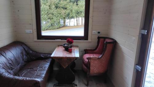 ein Wohnzimmer mit einem Sofa, einem Tisch und einem Fenster in der Unterkunft Tiny House Waldschmied 2 