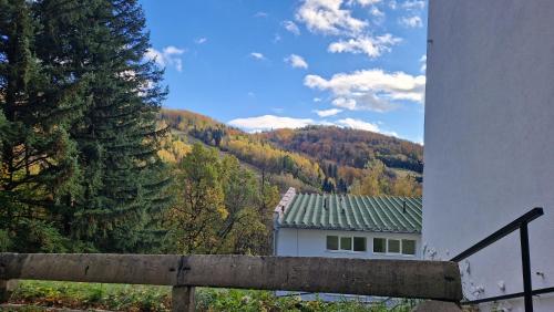 a white house with a green roof and a mountain at Barbara 76 in Ustroń